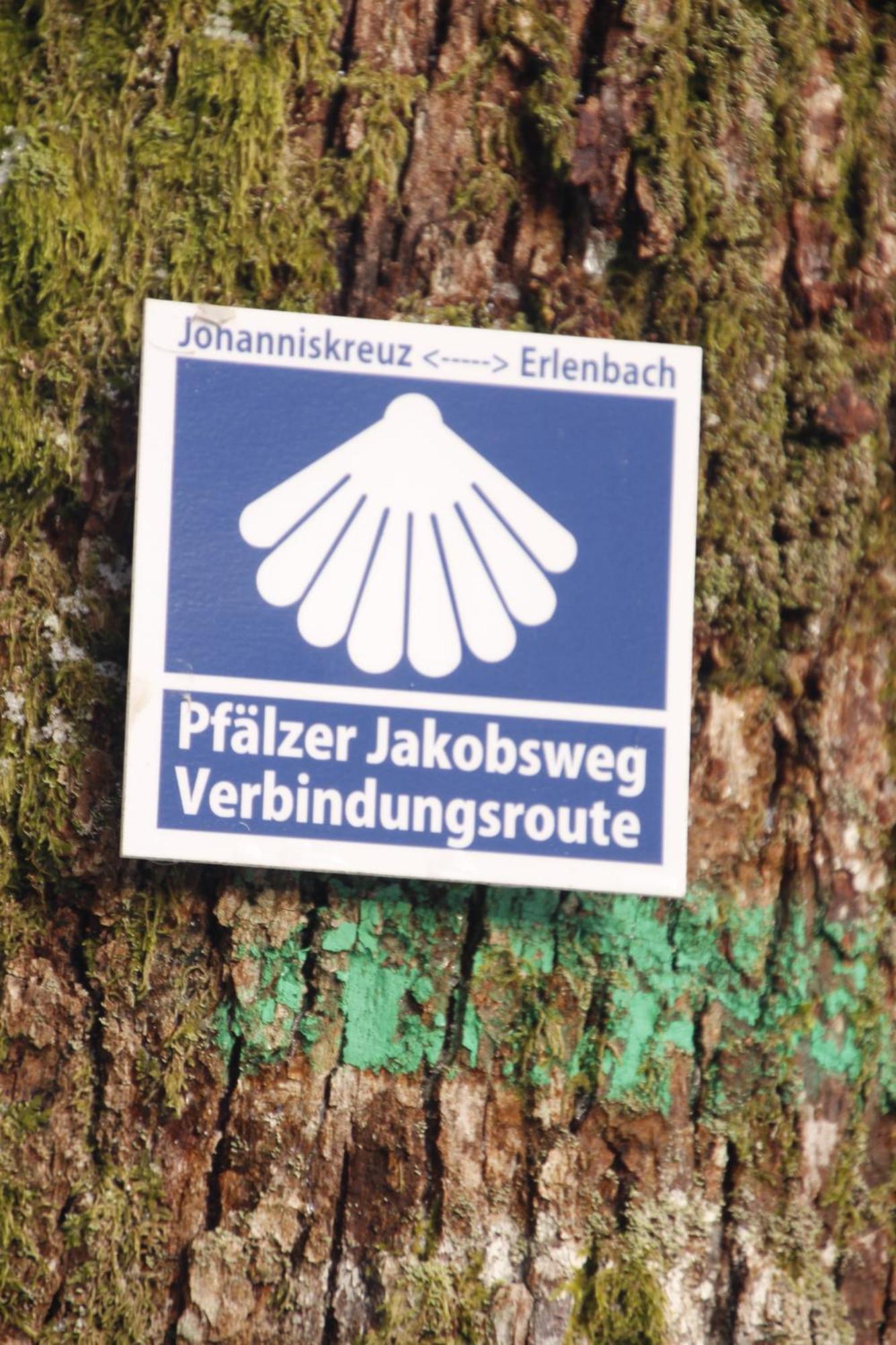 Ferienwohung Am Felsenwanderweg Im Pfaelzerwald Lägenhet Rodalben Exteriör bild