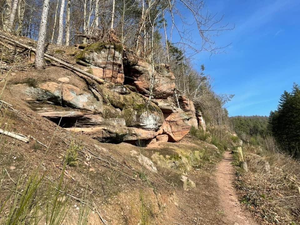 Ferienwohung Am Felsenwanderweg Im Pfaelzerwald Lägenhet Rodalben Exteriör bild