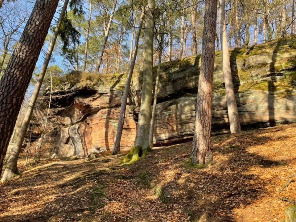 Ferienwohung Am Felsenwanderweg Im Pfaelzerwald Lägenhet Rodalben Exteriör bild