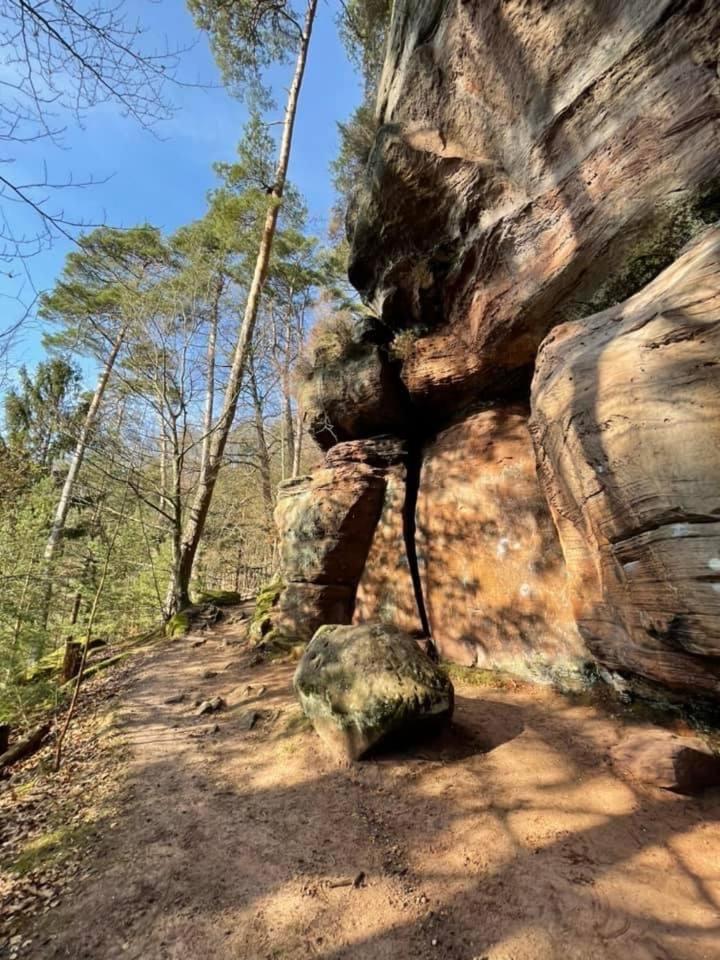 Ferienwohung Am Felsenwanderweg Im Pfaelzerwald Lägenhet Rodalben Exteriör bild